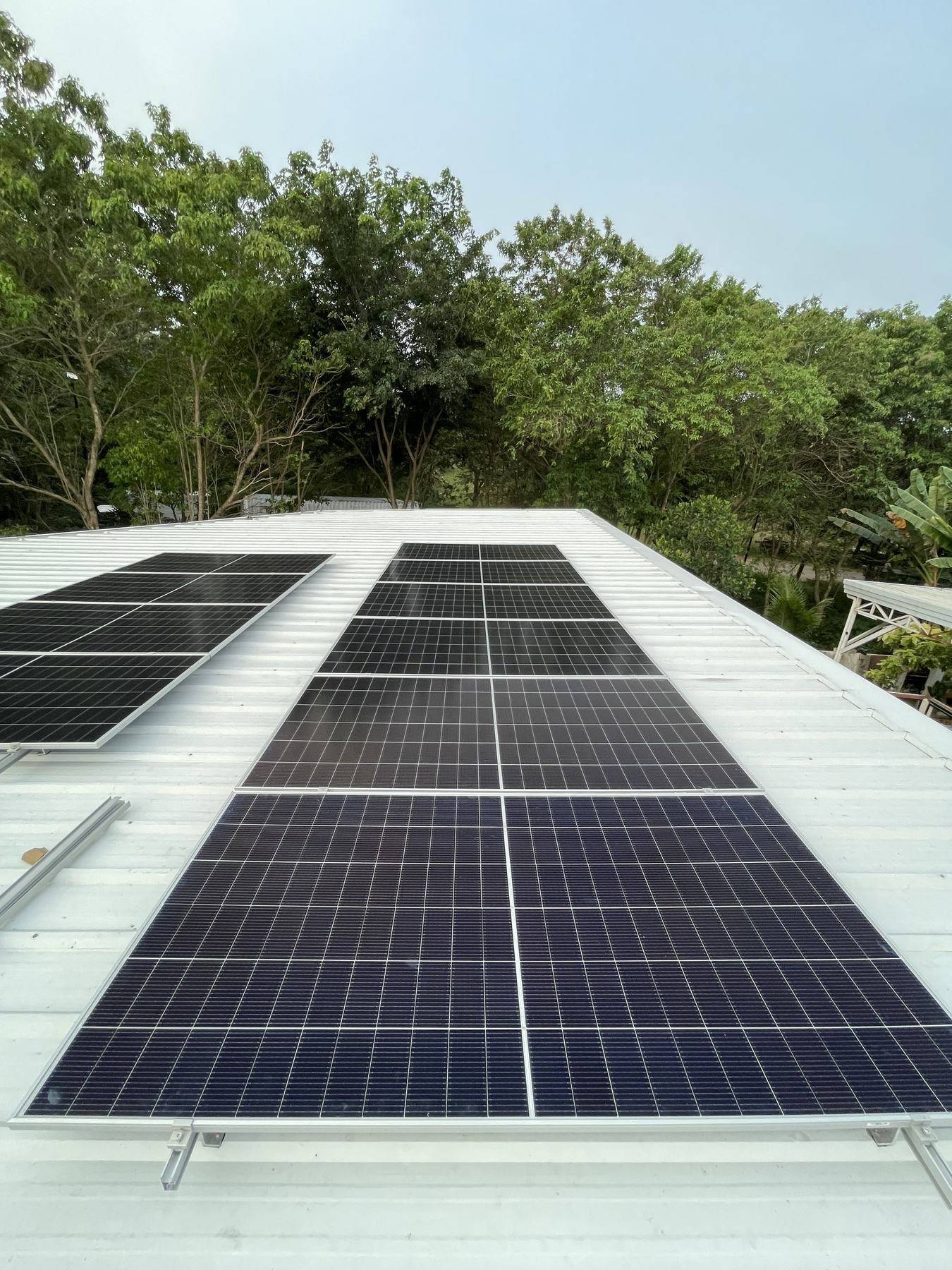 Rows of solar panels mounted on a white metal roof, trees behind